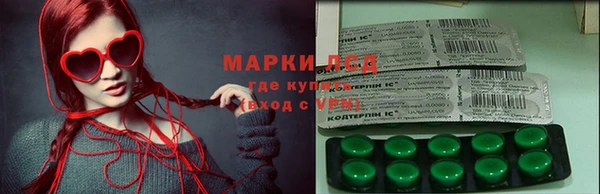 ГАЛЛЮЦИНОГЕННЫЕ ГРИБЫ Алзамай