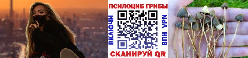 Галлюциногенные грибы мицелий Мышкин